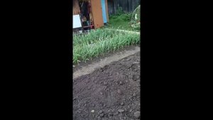 DachaIOgorod обзор с нашей дачи
