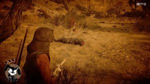 Охота на легендарную пуму в Red Dead Redemption 2