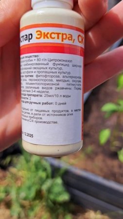 Средство от мучнистой росы!!!