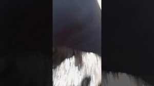 1000002094.mp4