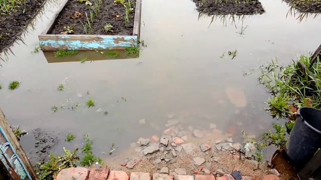 Омская область,р.п.Москаленки смотреть онлайн