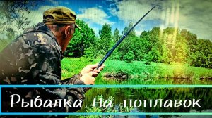 РЫБАЛКА ЛЕТОМ НА ПОПЛАВОЧНУЮ СНАСТЬ. Ловим шикарных Окуней