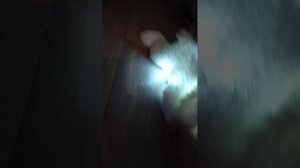 1000032005.mp4