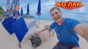 🇹🇭ТАИЛАНД 2025.Остров Ко Лан Удивляет Своими Посетителями! Ужин В Prince Palace Pattaya.