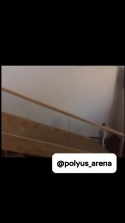 Вжуух, и снова понедельник!