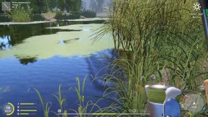 ГАЙД! ГДЕ И КАК ЛОВИТЬ ЩУКУ НА СТАРОМ ОСТРОГЕ!