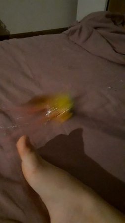 20250531_234542.mp4