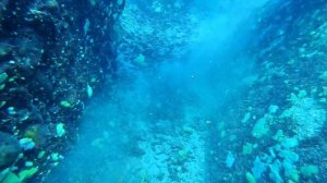 дайвинг на Байкале