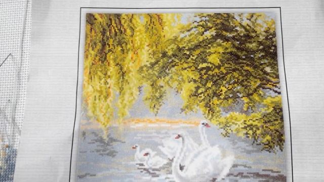 Отчет №4 СП "Животные" смотреть онлайн