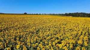 Природа восхитительна 35