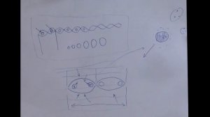 ДЛR#371. Модель заряженной частицы Романова