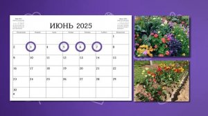 Сажай только в ЭТИ дни! Благоприятные посадочные дни в июне 2025 для овощей, цветов и саженцев!