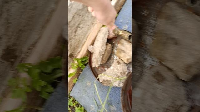 готовим обед для хаги ваги четвёртая часть