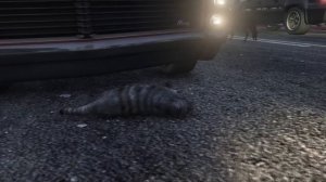 FlazinЭТОГО КОТЁНКА НИКТО НЕ ХОЧЕТ ПРИЮТИТЬ В ГТА 5 ! Я СТАЛ КОТОМ НА 24 ЧАСА В GTA 5