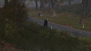 РЕНЕГАТЫ НАВОДЯТ СУЕТУ [ DayZ Stalker RP | Edge Of Darkness ]