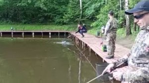 Сегодня форель поджалась к крымскому. Спорт-зона. Клёвое место Лосиный остров.