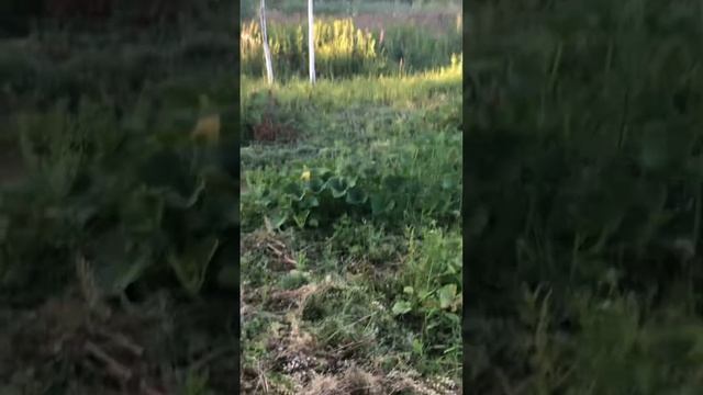 Продаётся дом город Малоярославец село Ильинское кал?