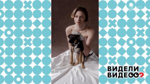 Дворняги-фотомодели. Видели видео? Фрагмент выпуска от 01.06.2025
