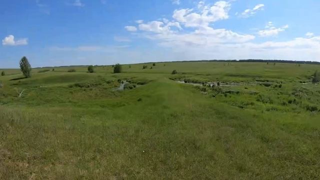 Штырь