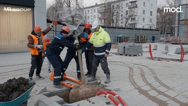 MOD | Ноябрь 2024 | Промежуточный отчёт о динамике строите?