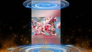 дорога дальняя коверемикс