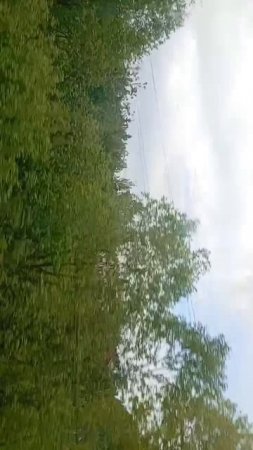 scene_output.mp4