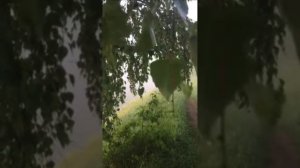 Красивая музыка - Игорь Крутой