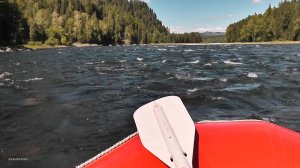 Алтай. Речка Бия. 2022.