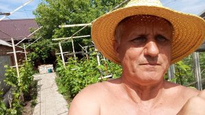 Виноград зацвёл 1 июня 2025 года!