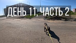 День 11, часть 2