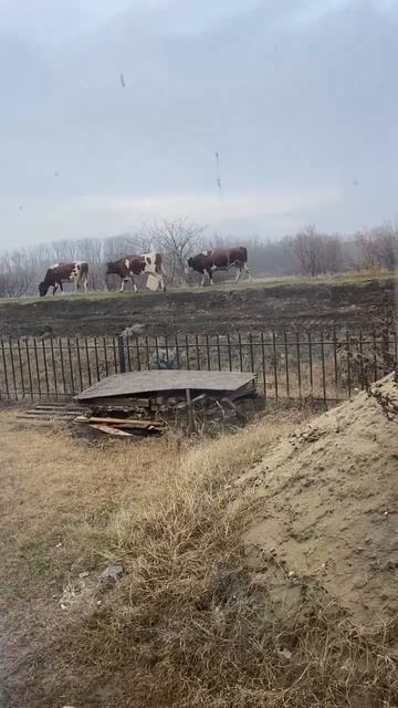 плитка плиточник краснодар адыгея кубань