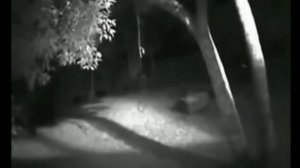 8 Реальных  Оборотней Снятые на Камеру УЖАС