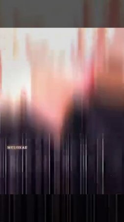 1000051886.mp4
