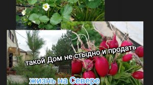жизнь в  Сибири/обзор красивого сада на крайнем севере/ пришла жара