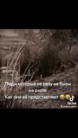 Почти правда