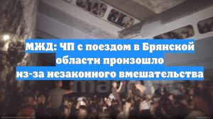 МЖД: ЧП с поездом в Брянской области произошло из-за незаконного вмешательства