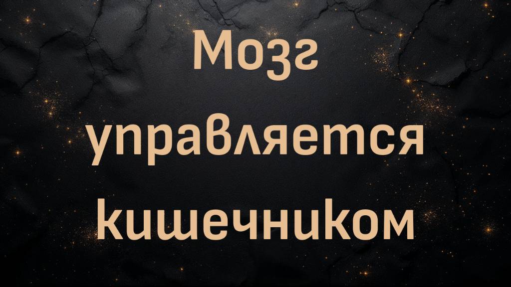 Мозг управляется кишечником | Доктор Наташа Кэмпбелл-Макбрайд