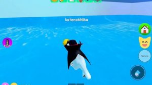 Roblox. Игра с котятами. Обновление!!! Котёнок Ника играет.