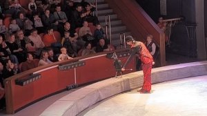 Уголок дедушки Дурова. Представление дорога длинною в