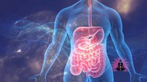 ЖКТ ЧИСТАЯ МАТРИЦА ГАЯРЕВА: Скачать архив Матриц ссылка 2025 рабочая - бесплатный архив для Вас