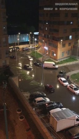 31 мая: день, когда зонтики сдались, а май торжествовал