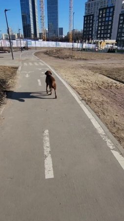 1000401867.mp4