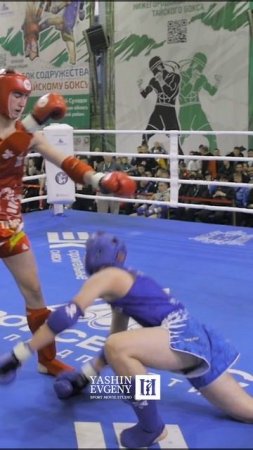 Лучшие нокауты Подпишись и ставь лайк #ufc #mma #youtube #sports #tiktok #shortsvideo #russia #box