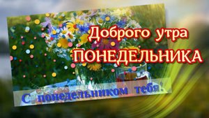 Доброе утро. Классного понедельника