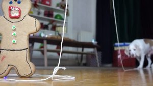 Dog vs Gingerbread Man Army Prank: Funny Dogs Maymo & Potpie Christmas Pranks