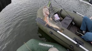 ТРОФЕЙНАЯ ЩУКА точно есть в этом озере🦈
Простая рыбалка в Новосибирске.