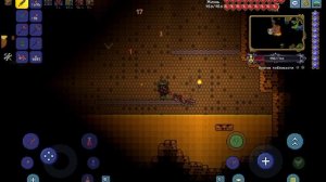 КАК ПРИЗВАТЬ КОРОЛЕВУ ПЧЁЛ В ТЕРРАРИИ