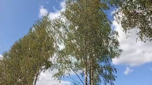 Первый день лета ☺️