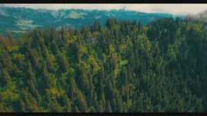 Христианские песни | Милости хочу