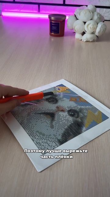 Алмазка «Мемные котики»💡WB: 257150956 • Ozon: 1731454211 #мозаика смотреть онлайн